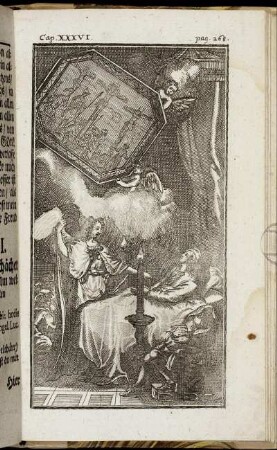 [Abb. XXXVI.]