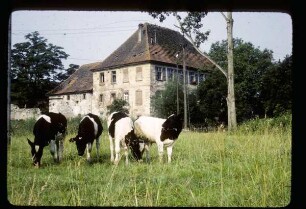 Mühle am Kaiserstuhl