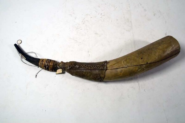 Horn made from antelope horn