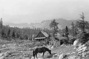 Berghütte : Berghütte, davor ein auf kargem Grund grasendes Pferd.