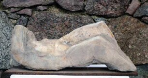 Liegende