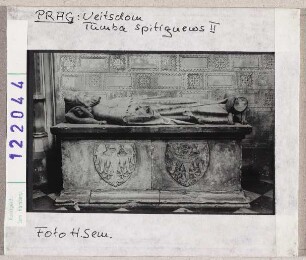 Prag: Veitsdom, Tumba Spitignews II.
