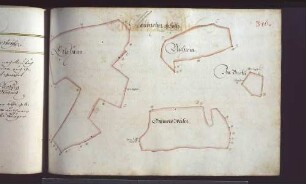 Korber Hut: Maubacher Gehölz: Erlenhau, Buchrein, Germesweiler und Im Berckle