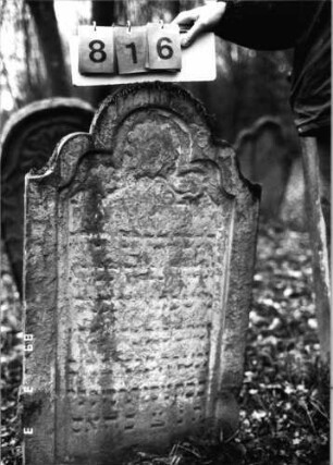 Grabstein 816 (Index: 99751486) Material: Sandstein Zustand: stark abgeblätt/verwitt/großer Textverl. Maße HxBxT: 101x60x8 cm Beschreibung: Stele, geschwungen eingezog. Rundbogenabschluß, Schriftfeld eingetieft Symbolik: Blüte: Grabstein 816