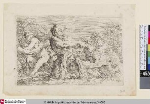 [Autre combat de Tritons; Ein anderer Tritonenkampf]