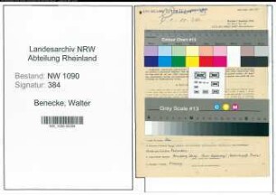 Entnazifizierung Walter Benecke , geb. 01.02.1902 (Obersteuerinspektor)