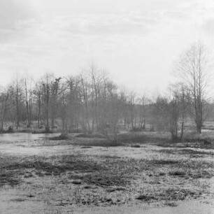 Spreewald um 1940. Überflutete Wiesen und Felder. : Błóta wokoło 1940. Přepławjene łuki a pola.