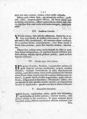 IV. Cerasus nigra, dulcis, florens