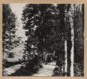 Bad Reichenhall, Saalach-Anlagen
