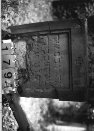 Grabstein 179 (Index: 100110631) Material: Sandstein Zustand: starke Abschieferungen am unteren Rand mit großem Textverlust, im Giebel beschädigt Maße HxBxT: 123x58x11 cm Beschreibung: Stele, Rundbogenabschluß mit Ohren, Schriftfelder eingetieft Symbolik: 3 Rosetten: Grabstein 179A