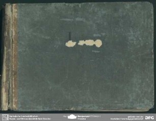 Ginevra degli Almieri - Mus.4259-F-516 : PaWV 23