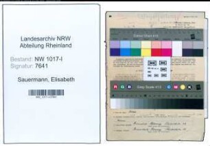 Entnazifizierung Elisabeth Sauermann , geb. 09.09.1907 (Lebensmittelhaendlerin)