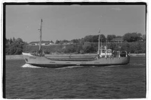Kondor (1952), W. Hintz, Schepers & Elfring, Haren