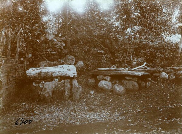 "Tables de danse. Malekula".