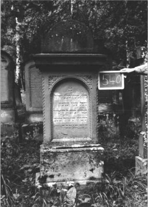 Grabstein 540 (Index: 99895454) Material: Sandstein Zustand: verwittert Maße HxBxT: 168x53x22 cm Beschreibung: Stele mit Rundbogenaufsatz; profilierter Sockel Symbolik: Palmette: Grabstein 540 (1)
