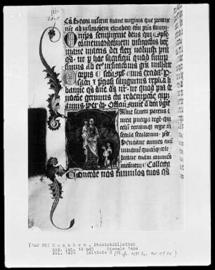 Missale des Petrus Crüger — Initiale S (alve sancta patris), darin ein bärtiger Laie die Muttergottes anbetend, Folio 142verso