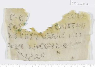CIL XV 4536 (ab una parte), Gelatinefolie