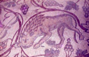 Ch. el-Muchajit (St. Nebo)