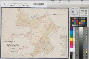 Mesum (Rheine), Teilung der Haugen Heide, Brouillonkarte
