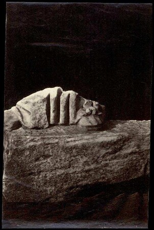 Fotografie. Fragment einer Peplophoros