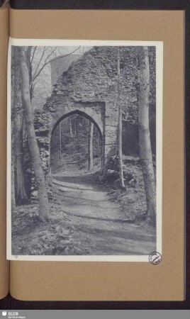 Ruine Scharfenburg bei Bad Thal