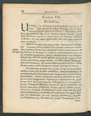 Caput VII. De Semine.