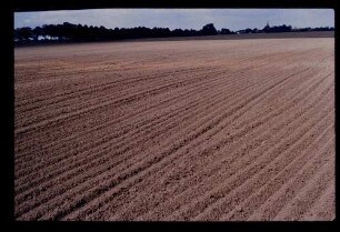 Märkisches Land 18.8.78.