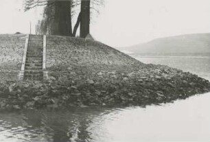 Kopfausbildung Leitwerk/Rhein