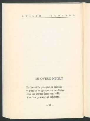 Mi overo negro