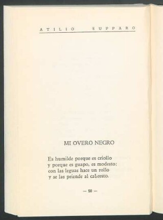 Mi overo negro