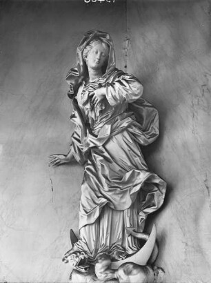 Immaculata