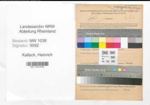 Entnazifizierung Heinrich Kalisch , geb. 05.09.1910 (Schlosser)