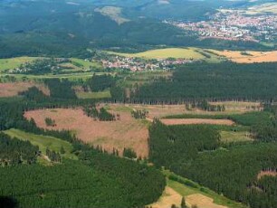 Langewiesen : Windbruch