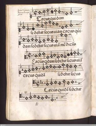Hubertus Waelrandus : Caecus quidam