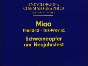 Miao (Thailand, Tak-Provinz) - Schweineopfer am Neujahrsfest