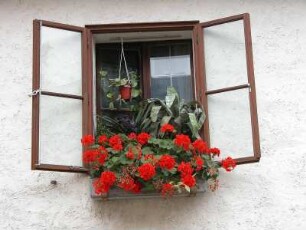 Salzburg - Blumenfenster : Blumenfenster auf der Festung. Aufgenommen in Salzburg 2004