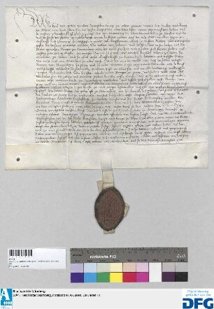 Georius, Abt des St. Aegydienklosters zu Nürnberg, vidimiert die Urkunde König Karls IV. vom 2. November 1347.