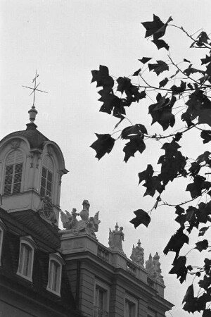 Herbststimmung beim Karlsruher Schloss.