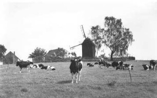 Großhennersdorf-Neundorf. Günther-Mühle, Bockmühle und Gehöft