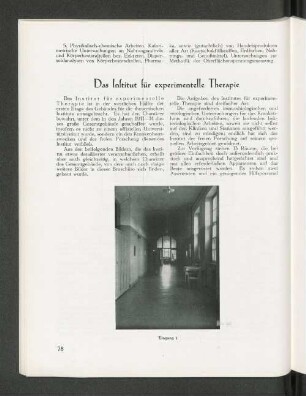 Das Institut für experimentelle Therapie