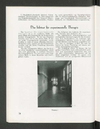 Das Institut für experimentelle Therapie