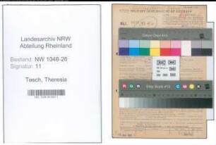Entnazifizierung Theresia Tesch , geb. 18.02.1916 (Angestellte)