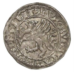Pommern: Bogislav X.