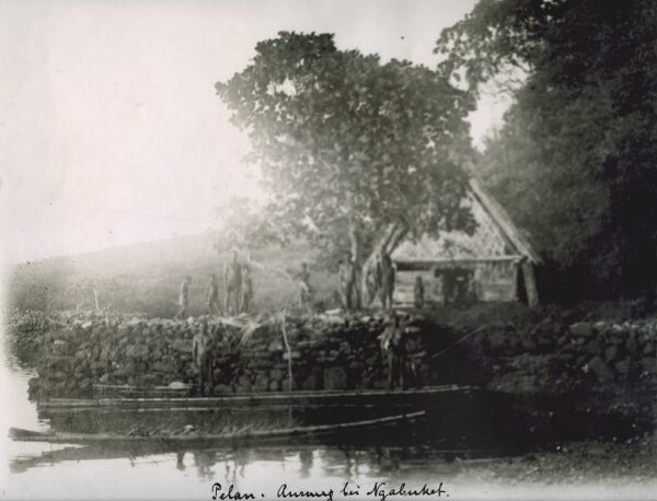 "Aurung ( ?) près de Ngabuket, Palaos"