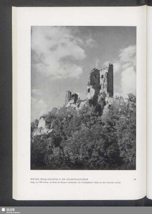 Ruine Drachenfels Im Siebengebirge