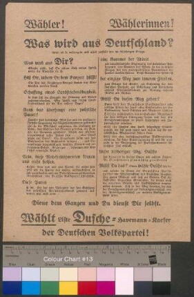 Flugblatt der DVP zur Reichstagswahl am 6. Juni                                         1920