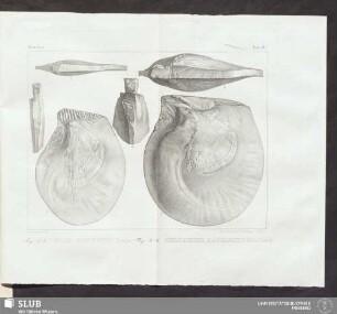 Tab. 8a