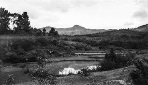 Landschaft (Sammlung Hans Stübel - 2. Forschungsreise durch Hainan 1932)