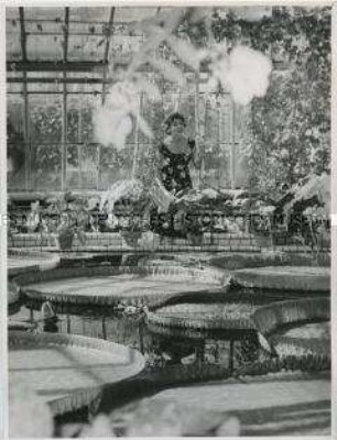 Blick in das Victoria-Regia-Haus im Botanischen Garten in Berlin (West)