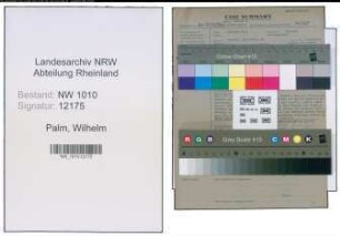 Entnazifizierung Wilhelm Palm , geb. 02.03.1903 (Techn. Angestellter)